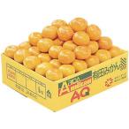  подарок по случаю конца года . лет .2025 фрукты подарок Wakayama Arita мандарин примерно 3kg комплект фрукты плоды мандарин mi can ... местного производства название производство товар ваш заказ гурман еда бесплатная доставка 