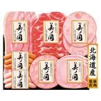 お歳暮 御歳暮 2025 ハム ギフト 日本ハム 北海道 プレミアム 美ノ国 ロースハム 生ハム ウィンナー ソーセージ セット 肉加工品 グルメ 食品 UKH-38 送料無料