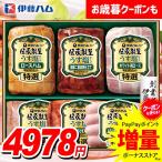 お歳暮 御歳暮 2025 爆買 ハム ギフト セット ロースハム 焼豚 ウインナー ソーセージ 伊藤ハム 伝承献呈 うす塩 減塩 食品 食べ物 グルメ 送料無料 GMU-5V