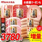 お歳暮 御歳暮 2025 ハム ギフト セット ロースハム ウインナー ソーセージ 生ハム 丸大食品 食べ物 丸大ハム 王覇 食品 食べ物 グルメ 送料無料 MO-300