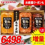 お歳暮 御歳暮 2025 ハム ギフト セット ロースハム ももハム 焼豚 ブロック プリマハム 鹿児島県産 恵味の黒豚 食品 食べ物 グルメ 送料無料 BP-60R