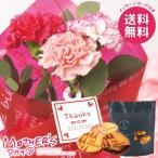 母の日 2026 プレゼント 花 ギフト カーネーション 花束 ブーケ 生花 スイーツ セット クッキー お菓子 個包装 母の日ギフト おしゃれ かわいい 人気