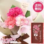 母の日 2026 プレゼント 花 ギフト カーネーション 花束 ブーケ 生花 スイーツ セット 長埼堂 カステラ お菓子 母の日ギフト おしゃれ かわいい 人気