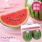 母の日 2026 プレゼント 花以外 食品 フルーツ 果物 ギフト セット スイカ すいか 西瓜 ピノガール 2玉 国産 甘い 母の日ギフト おしゃれ かわいい 人気