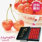 母の日 2026 プレゼント 花以外 食品 フルーツ 果物 ギフト セット さくらんぼ 佐藤錦 特秀 300g カーネーション 母の日ギフト おしゃれ かわいい 人気