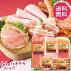 母の日 2026 プレゼント 花以外 食品 グルメ ギフト ハム ソーセージ ウインナー セット 北海道 トンデンファーム 母の日ギフト おしゃれ かわいい 人気