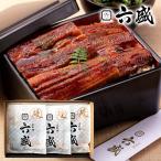 母の日 内祝い 内祝 お返し お取り寄せグルメ 海鮮 ギフト 贈り物 詰合せ うなぎ蒲焼 セット 京料理六盛 メーカー直送 RM-U3 食品 食べ物 送料無料