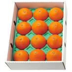  подарок по случаю конца года . лет .2025 фрукты подарок фрукты мандарин Ehime префектура производство .. какой превосходящий товар 3kg комплект .. местного производства плоды еда гурман еда бесплатная доставка 