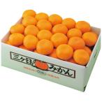  подарок по случаю конца года . лет .2025 фрукты подарок фрукты мандарин Shizuoka префектура производство три штук день мандарин 4kg комплект .. местного производства плоды еда гурман еда бесплатная доставка 