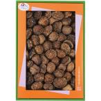  подарок по случаю конца года . лет .2025 внутри праздник . ответ сушеные шиитаке подарок высушенный ... дерево .. Ooita производство .....180g комплект еда бакалейные продукты .. . сохранение еда стратегический запас LO-50S