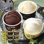ショッピングお中元 アイス お歳暮 御歳暮 2025 アイスクリーム ギフト 北海道 冬の濃厚アイスクリーム 9個 セット 乳蔵 バニラ お菓子 スイーツ グルメ 食品 冷凍 110132