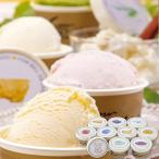 ショッピングお中元 アイス お歳暮 御歳暮 2025 アイスクリーム ギフト 北海道アイスクリーム 10個 セット FROM大樹 メロン アイス スイーツ お菓子 お取り寄せ グルメ 食品