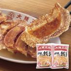 お歳暮 御歳暮 2025 惣菜 ギフト 大阪王将 羽根つき 餃子 2袋 セット ぎょうざ ギョーザ ギョウザ 人気 簡単調理 お取り寄せ グルメ 冷凍 食品 OO-HG2