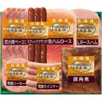 母の日 内祝い お返し 北海道トンデンファーム ハム ギフト ロースハム 生ハム ウィンナー ソーセージ セット 肉加工品 グルメ 食品 メーカー直送 TF-5C