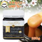 クーポンで20%OFF プレミアム マヌカハニー UMF 5+ 250g ニュージーランド産 天然生はちみつ 蜂蜜 honey