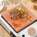himalaya скала соль plate 12cm×12cm×1.3cm [5 шт. комплект ] натуральный соль. тест установка скала соль plate повторение . использование возможность . починка простой paki Stan . производство земля импорт барбекю 