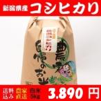 お米 5kg 白米 送料無料 新潟県糸魚川産 コシヒカリ 令和5年度産