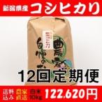 お米 10kg 白米 送料無