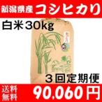 お米 30kg 白米 送料無