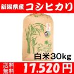 お米 30kg 白米 送料無