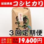 お米 10kg 玄米 送料無