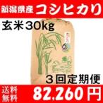 お米 30kg 玄米 送料無料 新潟県糸魚川産 農家直送 コシヒカリ 令和5年度産 3回定期便