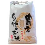 【いのちの壱】お米 10kg 白米 送料無料 新潟県糸魚川産 新米 令和7年度産 3回定期便