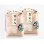 お米 3kg×2袋 白米 送料無料 新潟県糸魚川産 コシヒカリ 新米 令和7年度産