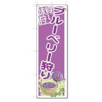のぼり のぼり旗 ブルーベリー狩り (W600×H1800)