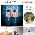 測り デジタルスケール ゴールド 釣り 魚  旅行 フィッシュスケール 釣具
