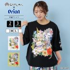 ScoLar �X�J���[ orion �I���I�� �R���{�A�C�e�� ����T�V���c �ăg�b�v�X �X�J���[����� �n�C�r�X�J�X �{�^�j�J���p���_�C�X�� �J���t�� ���E���h�w�� 462007
