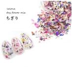 la low na[ LALONA ] сухой цветок (...) ( 6 вид из ) ногти / нейл-арт / лепесток / гель ногти / resin / French ногти 