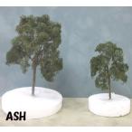 ASH-30seiyou тон Rico 4 шт. входит .p последний lakto модель материал строительство модель 
