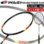WAGI FEELWIN POWER SLIM бадминтон ракетка можно выбрать струна + оплата . бесплатный *