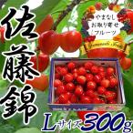 父の日 プレゼント さくらんぼ 佐藤錦 秀 L 約300g