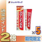 【医薬部外品】クリーンデンタルトータルケア100ｇ ×5個 (673930)