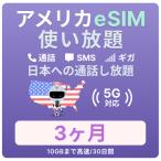 ショッピングハワイ アメリカ ハワイ eSIM 3カ月 データ無制限（10GB高速）通話し放題 電話番号付 プリペイド T-Mobile回線 留学 旅行 出張