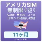 アメリカ ハワイSIMカード12カ月データ無制限