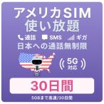 ショッピングハワイ アメリカ ハワイ SIMカード 30日間 データ無制限（5GB高速/月）通話し放題 電話番号付 プリペイド T-Mobile回線 留学 旅行 出張