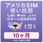 America SIM card 10 months [ data limitless ] month / 5GB till high speed telephone call ... Hawaii contains studying abroad travel business trip for plipeidoSIM T-mobile circuit 