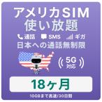  America SIM card 18 months [ data limitless ] month / 10GB till high speed telephone call ... Hawaii contains studying abroad travel business trip for plipeidoSIM T-mobile circuit 