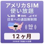  America SIM card 12 months [ data limitless ] month /20GB till high speed telephone call ... Hawaii contains studying abroad travel business trip for plipeidoSIM T-mobile circuit 