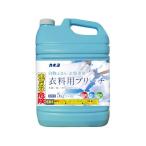 kaneyo мыло одежда для осветлитель 5kg. белый . одежда для моющее средство моющее средство чистка 