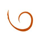 Yahoo! Yahoo!ショッピング(ヤフー ショッピング)【お取り寄せ】ジャッカル ビンビンスイッチT+ネクタイマイクロカーリースリム ＃コーラ ルアー関連品 ルアー 関連品 釣り具 アウトドア