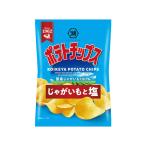 湖池屋 ポテトチップス じゃがいもと塩 ポテトスナック スナック菓子 お菓子