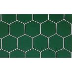 [ ваш заказ ] Z черепаха . type * бейсбол глаз футбольные врата сеть ZKN1655