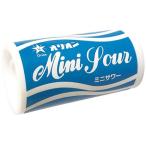 オリオン ミニサワー 8g