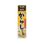 エスビー食品 ねりからし 43g わさび からし しょうが にんにく 調味料 油 食品