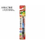 【お取り寄せ】エビス ちょんまげブラシ やわらかめ 歯ブラシ やわらかめ オーラルケア