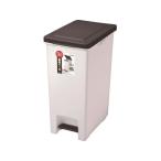 【お取り寄せ】アスベル/R防臭エバン・ペダルペール45L/641732  ゴミ箱 ゴミ袋 ゴミ箱 掃除 洗剤 清掃
